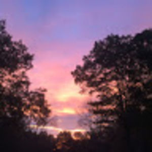 Meet your Posher, Marion